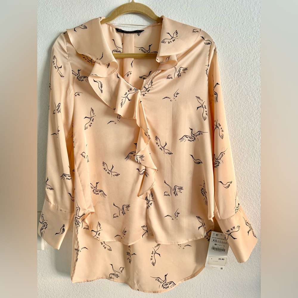 Chic Zara Top